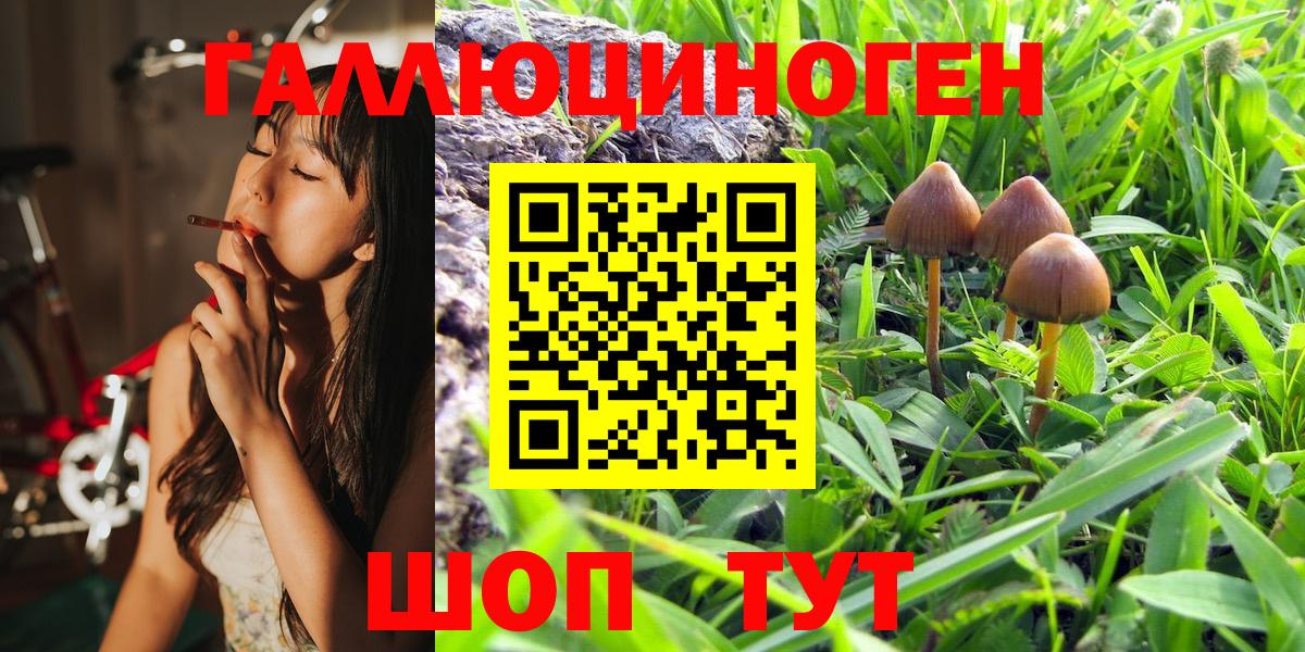 Галлюциногенные грибы MAGIC MUSHROOMS Кимры